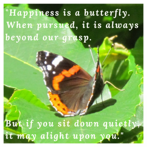 Happiness is a Butterfly